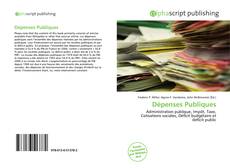 Borítókép a  Dépenses Publiques - hoz