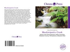 Capa do livro de Muckinipattis Creek 