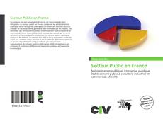 Bookcover of Secteur Public en France
