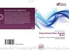 Portada del libro de King Salmon River (Egegik River)
