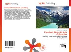 Portada del libro de Firesteel River (British Columbia)