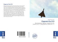 Bookcover of Caproni Ca.313