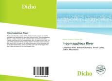 Couverture de Incomappleux River