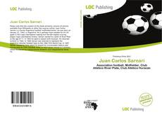 Bookcover of Juan Carlos Sarnari