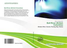 Buchcover von Bull River (British Columbia)