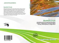 Buchcover von Bushkill Creek