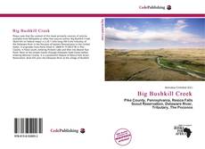 Copertina di Big Bushkill Creek