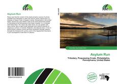 Asylum Run的封面
