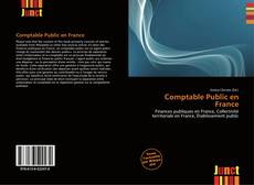 Couverture de Comptable Public en France