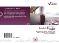 Bayerisch Eisenstein Station kitap kapağı