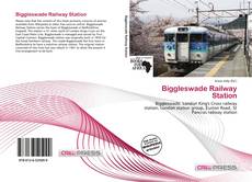 Capa do livro de Biggleswade Railway Station 