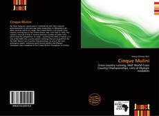 Bookcover of Cinque Mulini