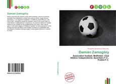 Bookcover of Damián Zamogilny