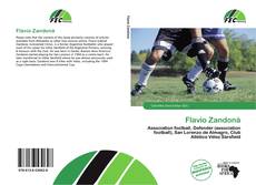 Flavio Zandoná的封面