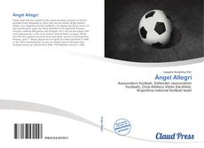 Bookcover of Ángel Allegri