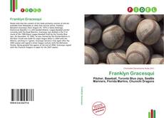 Portada del libro de Franklyn Gracesqui