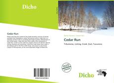 Bookcover of Cedar Run