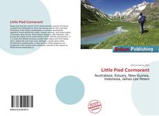 Buchcover von Little Pied Cormorant