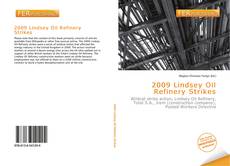 Bookcover of 2009 Lindsey Oil Refinery Strikes