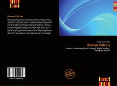 Buchcover von Brown Falcon