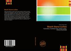 Buchcover von Beach Stone-curlew