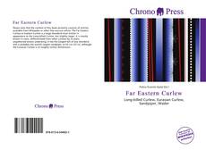 Capa do livro de Far Eastern Curlew 