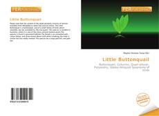 Little Buttonquail的封面