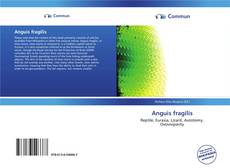 Capa do livro de Anguis fragilis 