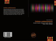 Couverture de Calotes andamanensis