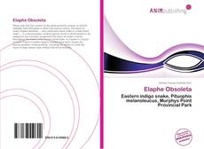 Elaphe Obsoleta的封面