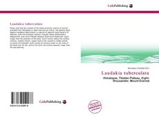 Обложка Laudakia tuberculata