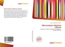 Macrovipera lebetina obtusa的封面