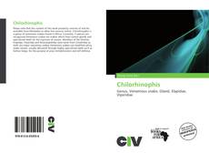 Bookcover of Chilorhinophis