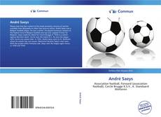 Capa do livro de André Saeys 