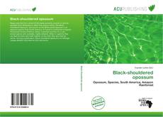 Copertina di Black-shouldered opossum