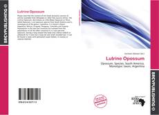 Lutrine Opossum kitap kapağı