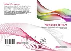 Couverture de Agile gracile opossum