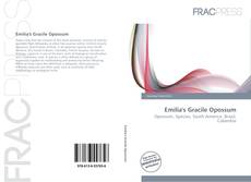 Portada del libro de Emilia's Gracile Opossum