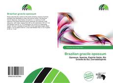 Brazilian gracile opossum的封面