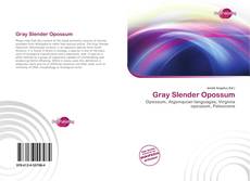 Buchcover von Gray Slender Opossum