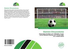 Bookcover of Damien Chrysostome