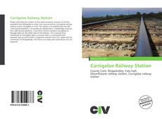 Portada del libro de Carrigaloe Railway Station