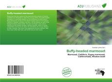 Buffy-headed marmoset的封面