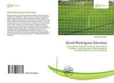 Copertina di David Rodríguez Sánchez