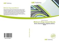 Couverture de Molina's Hog-nosed Skunk