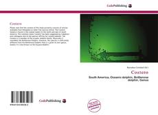 Buchcover von Costero
