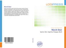 Bookcover of Marsh Deer