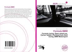 Capa do livro de Formula BMW 