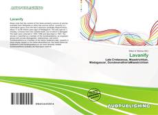 Buchcover von Lavanify