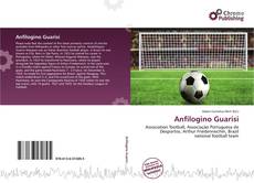 Buchcover von Anfilogino Guarisi